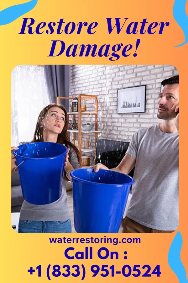 water restoration Southern Sewage Cleanup Pros Elim