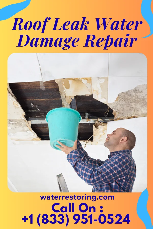 Roof Leak Water Damage Repair in Elim, PA