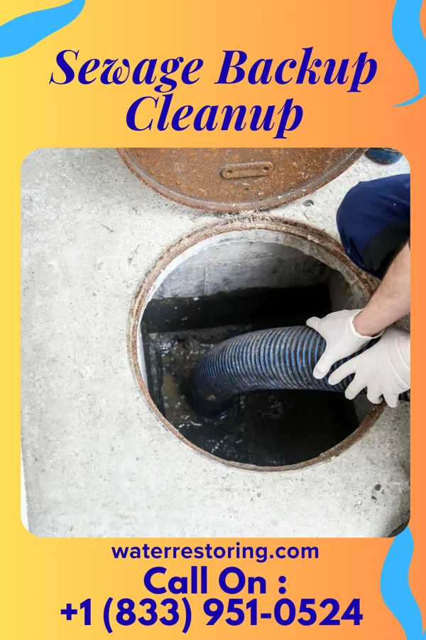 Sewage Backup Cleanup in Elim, PA
