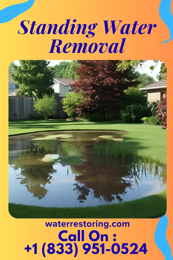 Standing Water Removal in Elim, PA